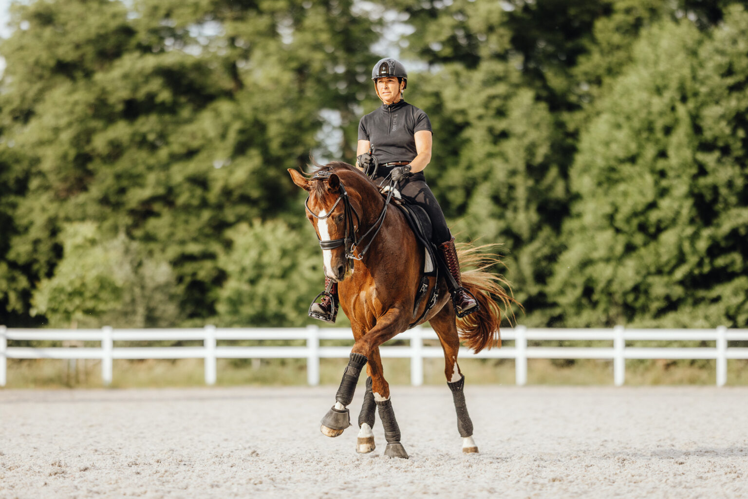 Reitsportfotografie und Fotografie für Bereiterin Berlin Brandenburg